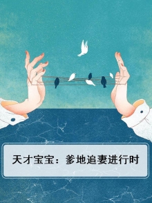 天才宝宝:爹地追妻进行时
