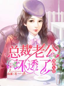 总裁宠妻坏透啦