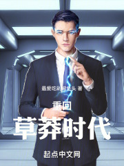 年代:重回草莽时代 小说