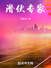 潜伏专家