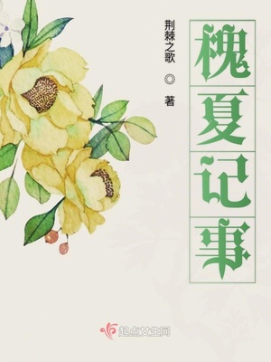 槐夏记事简介