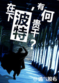 HP在下波特,有何贵干?