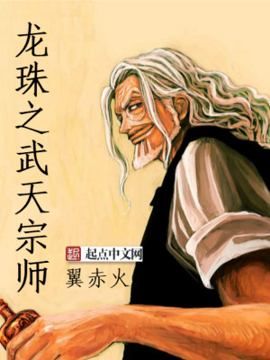 龙珠之武天宗师小说