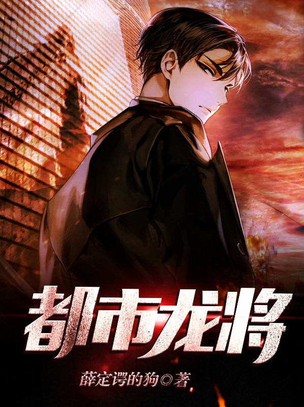 都市龙帅 小说