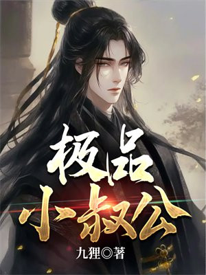 极品叔公小说