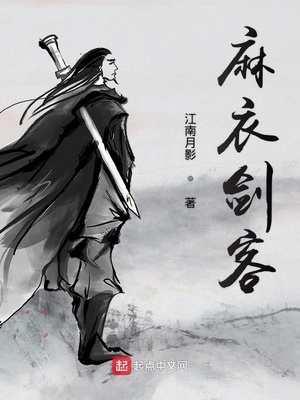 麻衣剑客小说