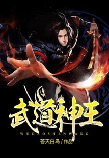 武道神王小说
