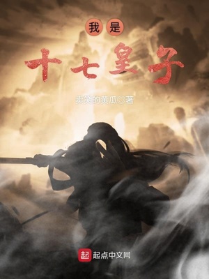 十七皇子小说决明
