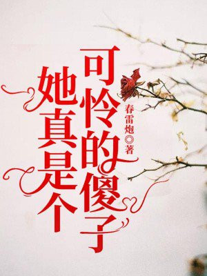 她真是个可怜的傻子TXT下载