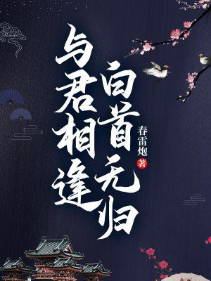与君相逢,白首无归 小说