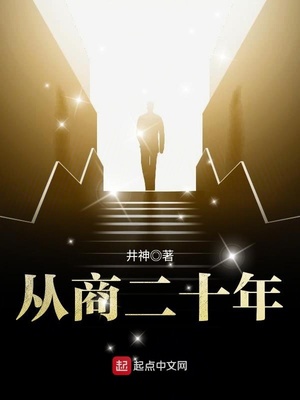 从商二十年完整版