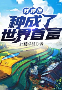 我种地种成了世界首富 小说