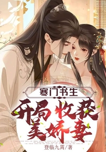 寒门书生,开局收获美娇妻_(登临九霄)小说