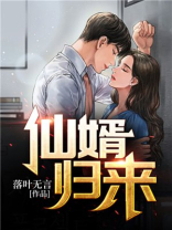 仙婿归来李枫免费阅读