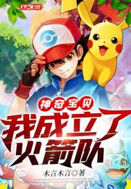 宝可梦:我成立了火箭队