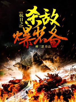 抗日之杀敌爆装备 小说