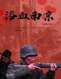 浴血南京完整小说