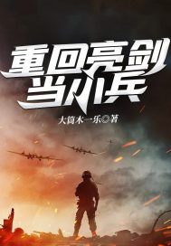 重回亮剑当小兵下载