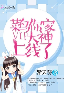 菜鸟vip多少钱