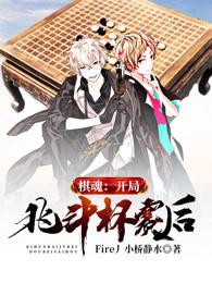 棋魂:开局北斗杯赛后