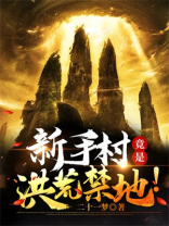 新手村练到满级小说