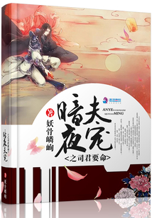 暗夜君皇全文免费阅读