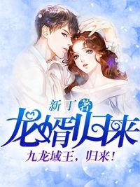 龙婿归来叶峰