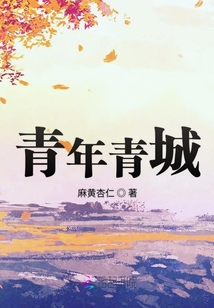 青年城项目