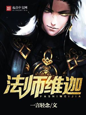 法师维迦 小说