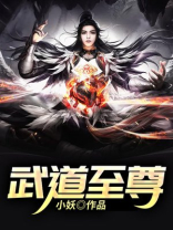 武道至尊叶铭小说