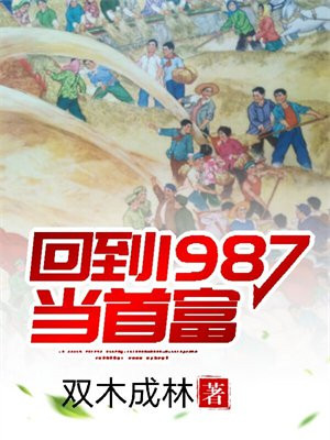 回到1987当首富沈自强视频