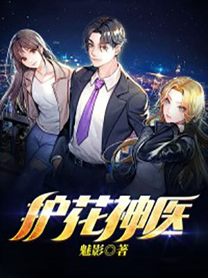 护花神医TXT下载
