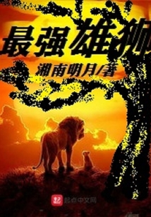 最强雄狮联盟排名