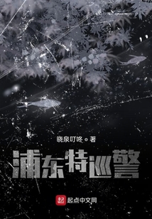 浦东特巡警