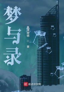 梦与录