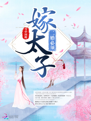 二婚必须嫁太子小说全文免费阅读