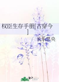 权臣生存手册[古穿今] 小说