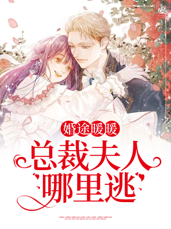 暖婚总裁100分布桐免费