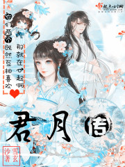君月传