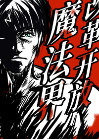 改革开放魔法界 小说