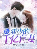 第一枭宠:霍少的千亿盲妻书包简介