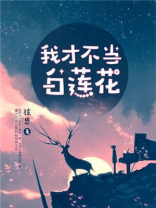 我是白莲花
