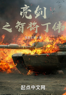亮剑之智将丁伟 深思文学