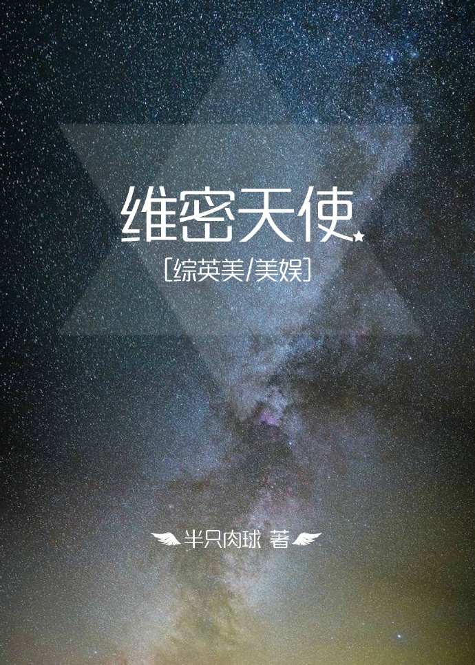 维密天使小说