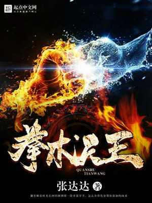 拳王天下