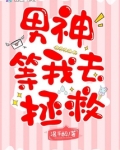 男神等我去拯救