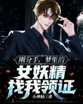 刚分手,梦里的女妖精找我领证