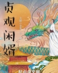 贞观闲婿