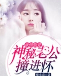 顶级宠婚：高冷老公惹不起
