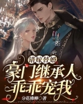 错嫁替婚:豪门继承人乖乖宠我!